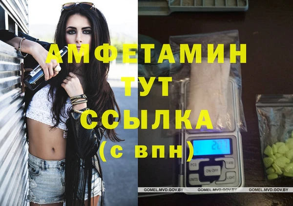крисы Горняк