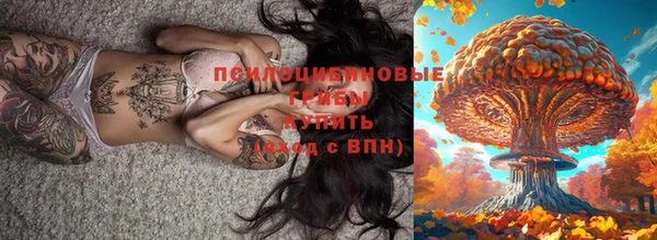 соль ск Горно-Алтайск