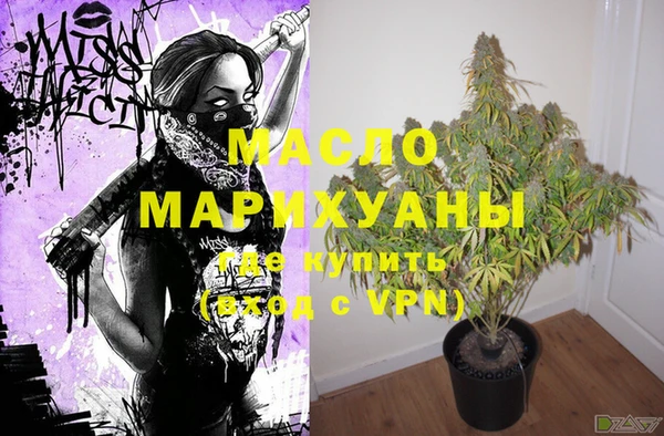 крисы Горняк