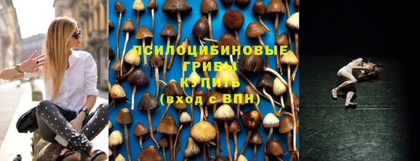 ПСИЛОЦИБИНОВЫЕ ГРИБЫ Горнозаводск