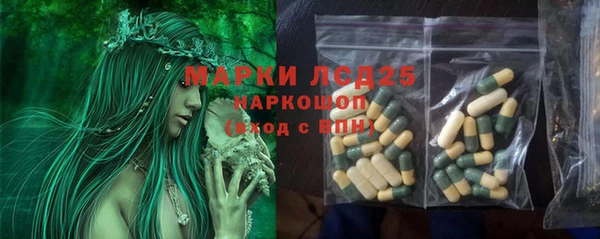соль ск Горно-Алтайск