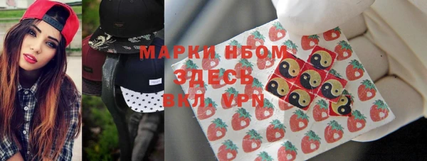 крисы Горняк