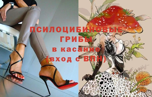 крисы Горняк