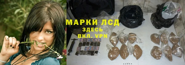 соль ск Горно-Алтайск