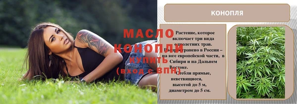 крисы Горняк