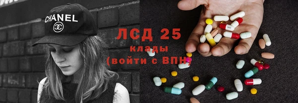 ПСИЛОЦИБИНОВЫЕ ГРИБЫ Горнозаводск